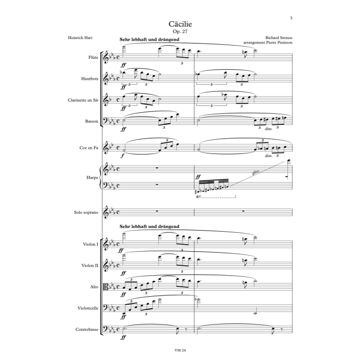Richard Strauss: Cäcilie, conducteur