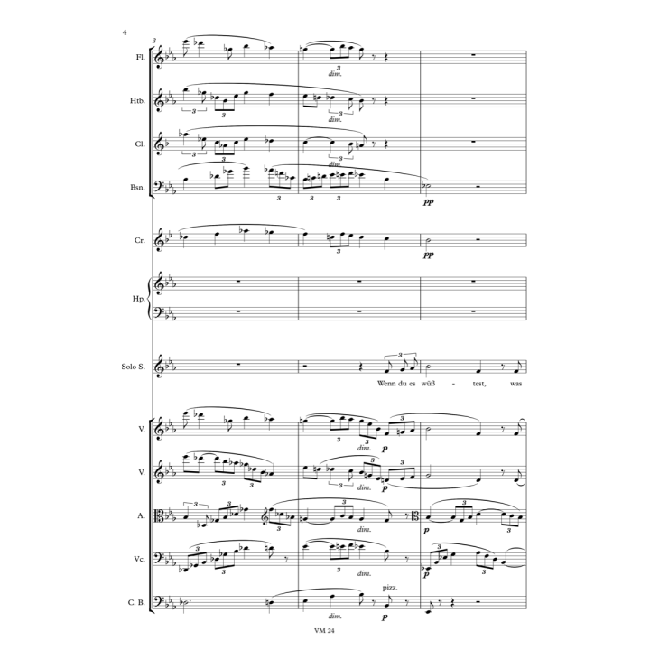 Richard Strauss: Cäcilie, conducteur