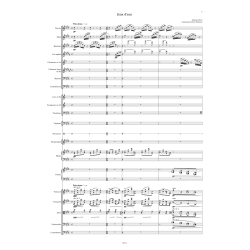 Maurice Ravel, Jeux d'eau, orchestration - conducteur