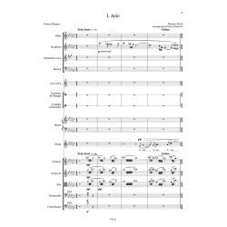 Maurice Ravel, Shéhérazade, arrangement double quintette - conducteur