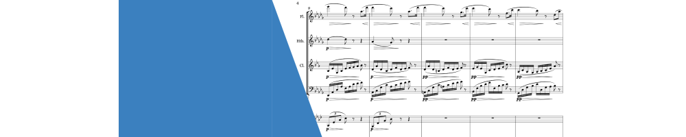 Chamber orchestra