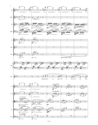 Chamber orchestra
